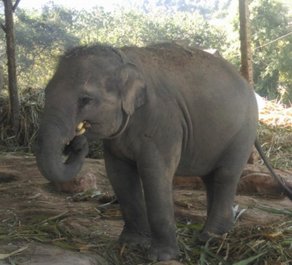 未命名.bmp 未命名.bmp