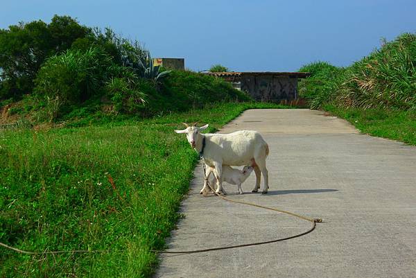 L1210955.JPG L1210955.JPG