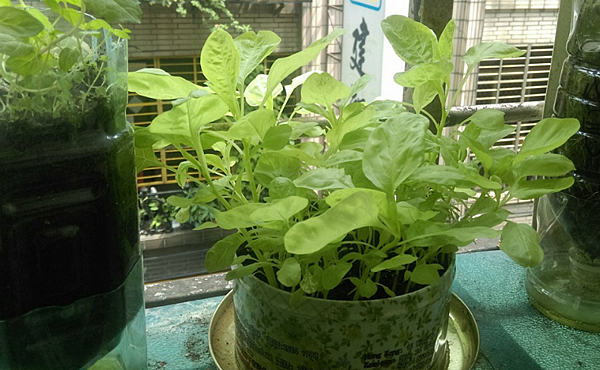 未命名.png 未命名.png