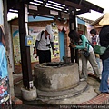 荷蘭井