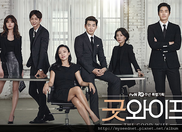 the good wife.jpg the good wife.jpg