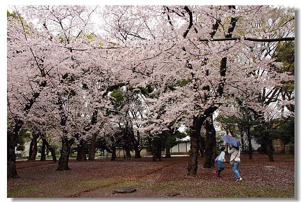 DSC_7326.jpg DSC_7326.jpg