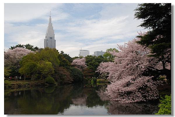 DSC_7518.jpg DSC_7518.jpg