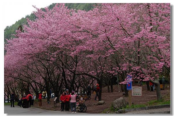 DSC_7060.jpg DSC_7060.jpg