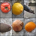 Fruits.jpg