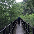 IMG_1316.jpg