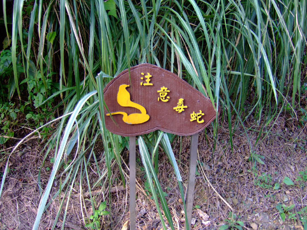 照片-140.jpg