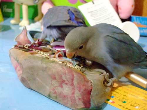怎麼樣都咬不膩