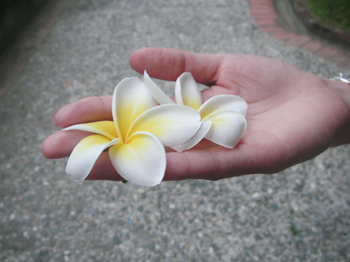 PICT6573.jpg