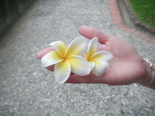 PICT6574.jpg