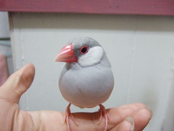 DSCF1977.jpg