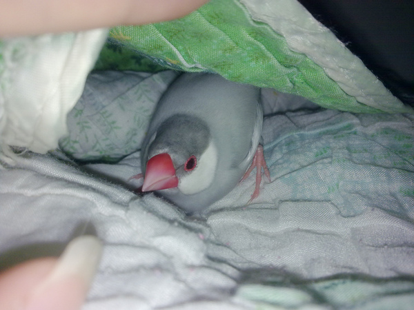 20100820010.jpg