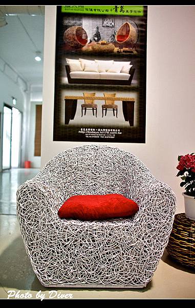 _MG_2241.jpg