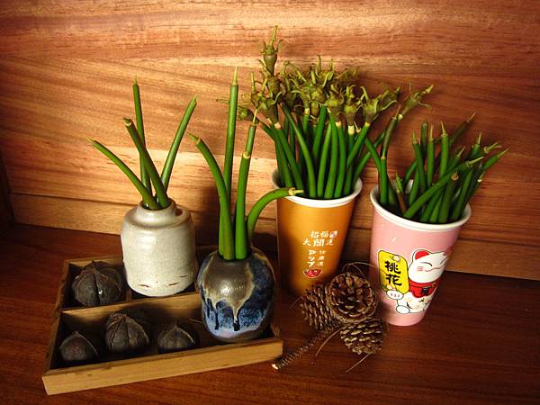 IMG_1271.JPG IMG_1271.JPG