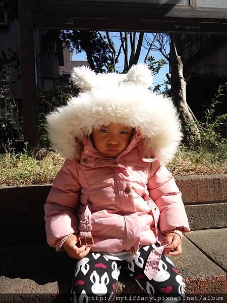 2015-12-18 11.38.54.jpg