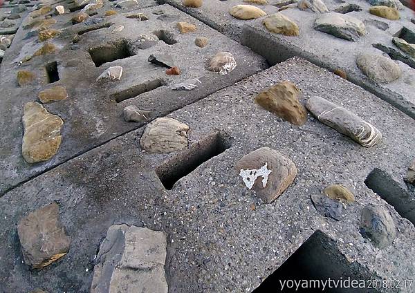 6-FB-P_20180217_161145_p.jpg 6-FB-P_20180217_161145_p.jpg