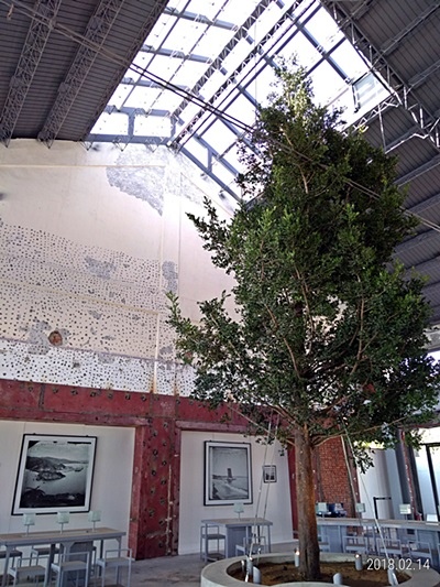 8-fb-P_20180214_150111_p.jpg 8-fb-P_20180214_150111_p.jpg