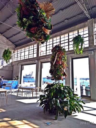 16-P_20180214_151115_p.jpg 16-P_20180214_151115_p.jpg