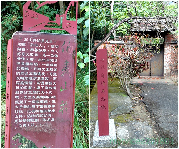 2-cats1.jpg 2-cats1.jpg