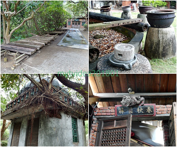 7-cats5.jpg 7-cats5.jpg