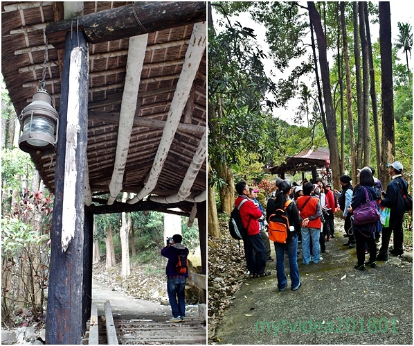 11-cats8.jpg 11-cats8.jpg