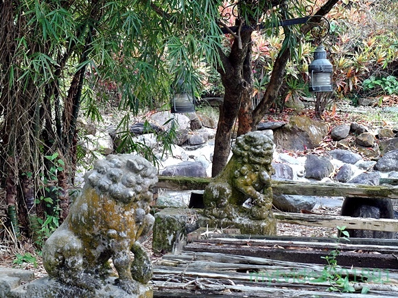 9-FB6-SAM_8534.JPG 9-FB6-SAM_8534.JPG