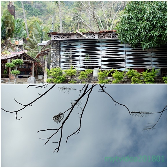 8-cats6.jpg 8-cats6.jpg