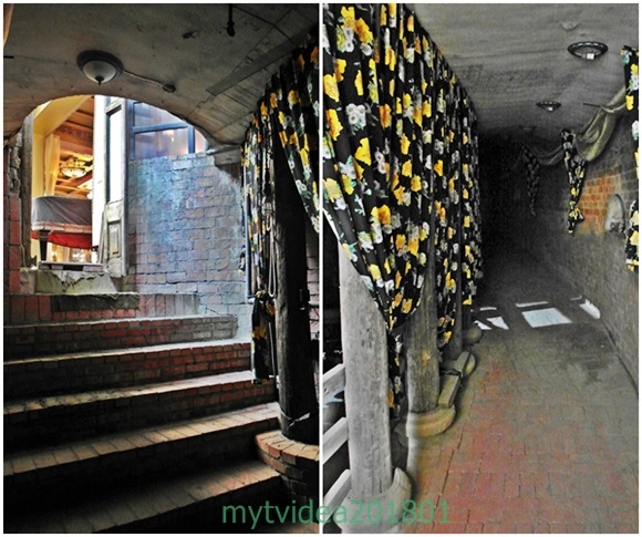 16-cats11.jpg 16-cats11.jpg