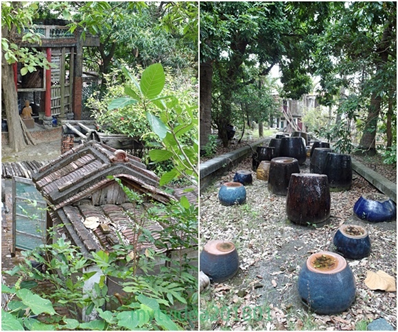 15-cats10.jpg 15-cats10.jpg