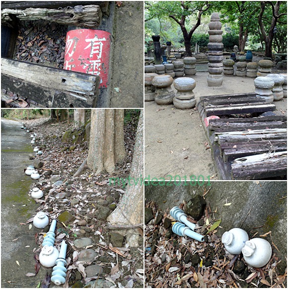 13-cats9.jpg 13-cats9.jpg