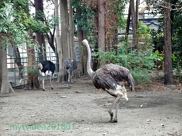 2-SAM_8445.JPG 2-SAM_8445.JPG