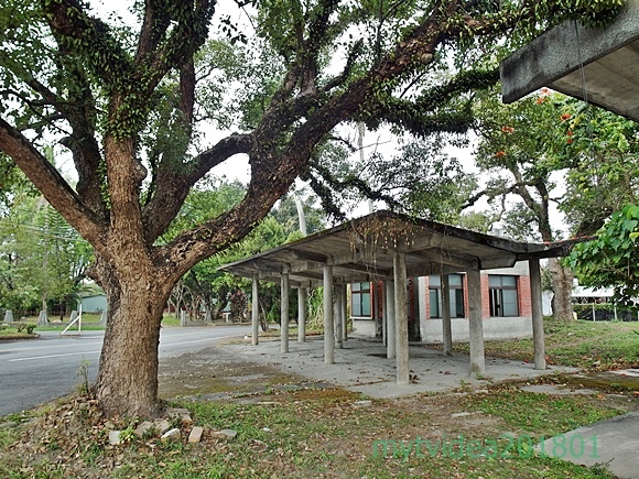 14-SAM_8462.JPG 14-SAM_8462.JPG