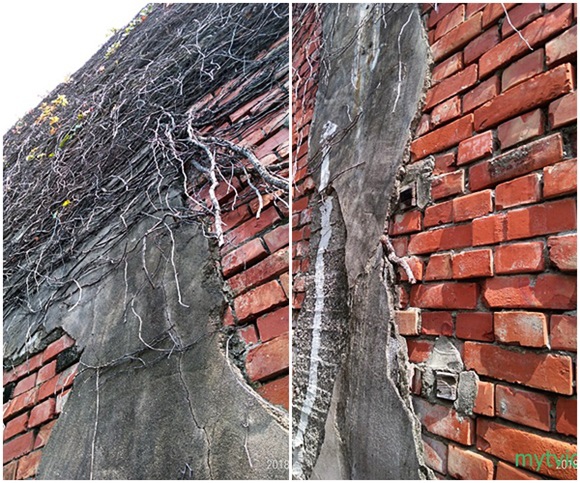 05-和1牆.jpg 05-和1牆.jpg