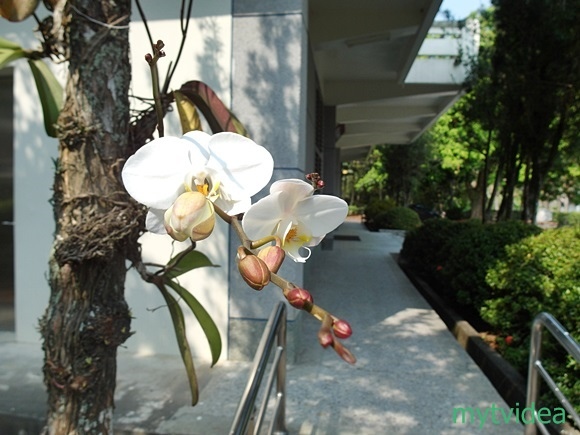 00-SAM_9034.JPG 00-SAM_9034.JPG