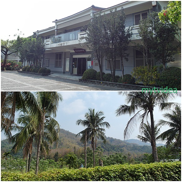 05-cats.jpg 05-cats.jpg