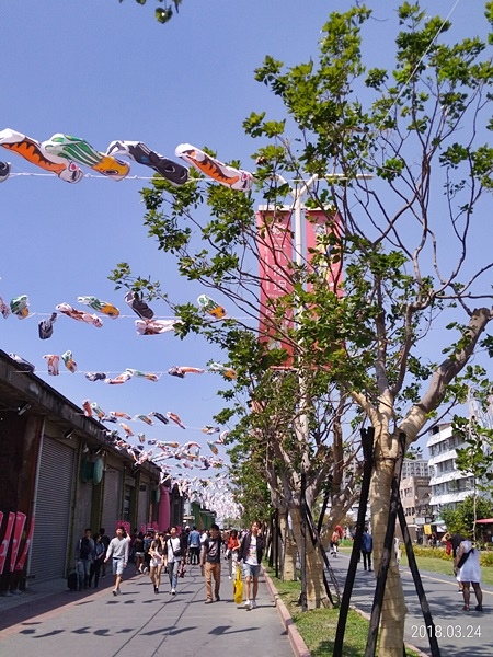 05-P_20180324_112737_p.jpg 05-P_20180324_112737_p.jpg