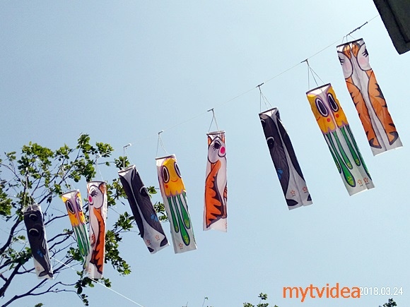 02-P_20180324_112034_p.jpg 02-P_20180324_112034_p.jpg