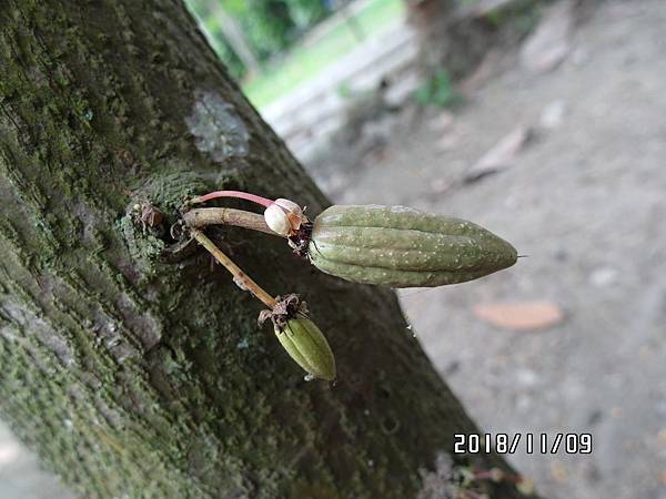 01-2LSAM_0363.JPG 01-2LSAM_0363.JPG