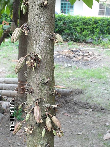 01LSAM_0359.JPG 01LSAM_0359.JPG