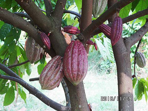 02LSAM_0463.JPG 02LSAM_0463.JPG