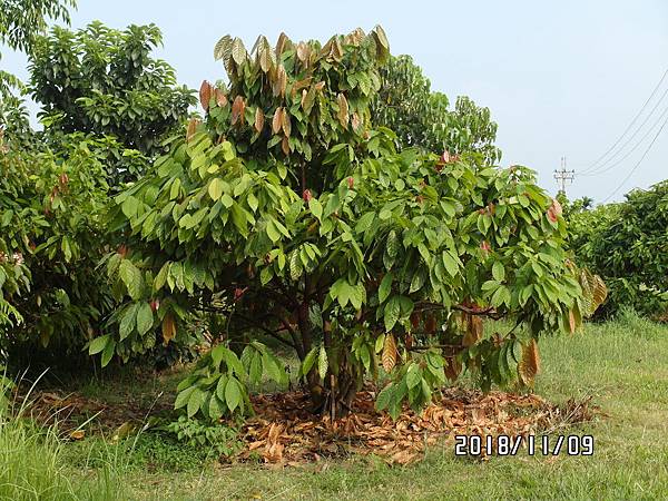 01-1LSAM_0461.JPG 01-1LSAM_0461.JPG