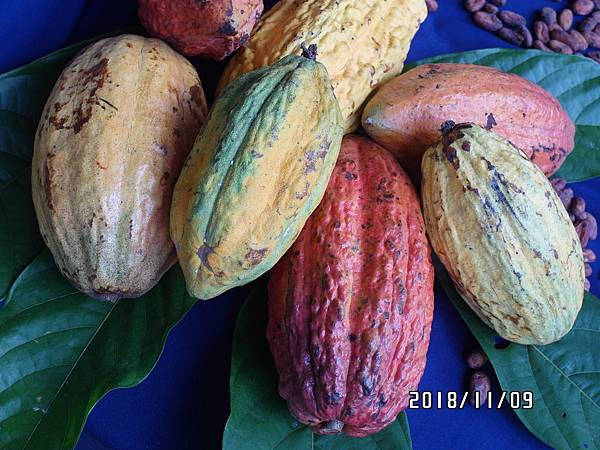 04LSAM_0351.JPG 04LSAM_0351.JPG