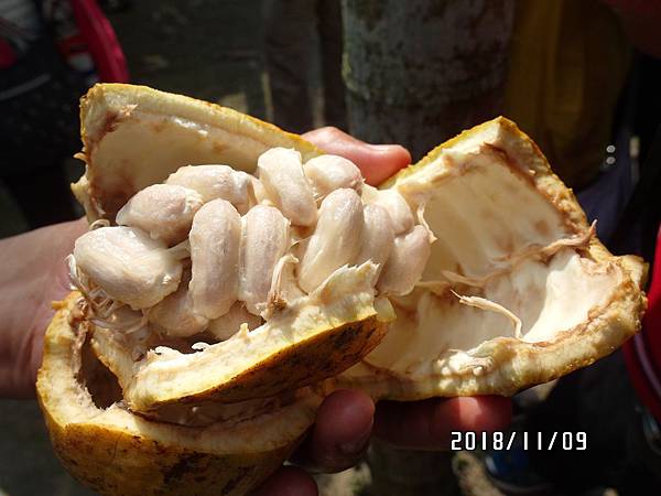 06SAM_0368.JPG 06SAM_0368.JPG