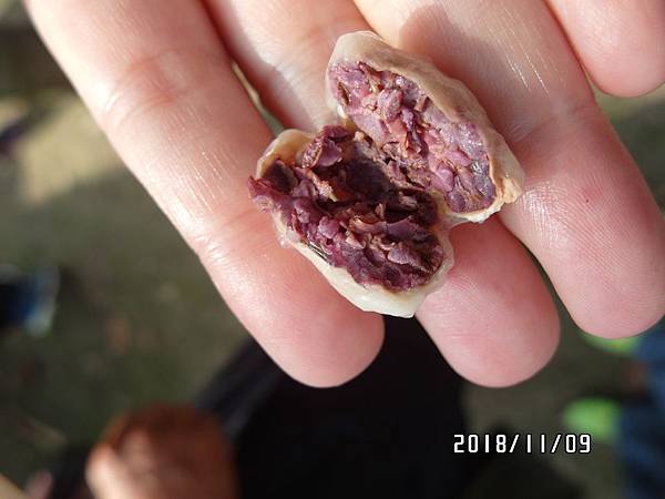 07SAM_0371.JPG 07SAM_0371.JPG