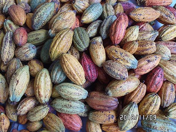 05LSAM_0477.JPG 05LSAM_0477.JPG