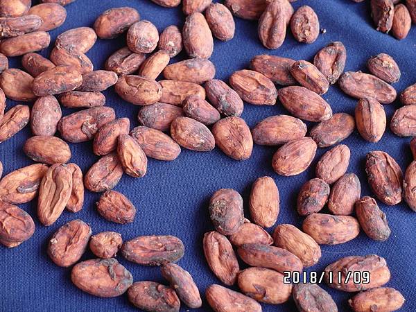 08LSAM_0352.JPG 08LSAM_0352.JPG