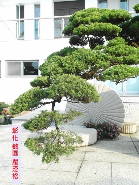 彰化銘園-9.JPG