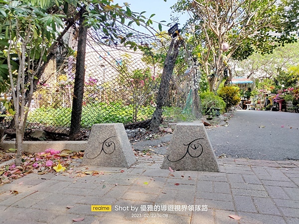 raw-image