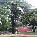 20110717-111.jpg