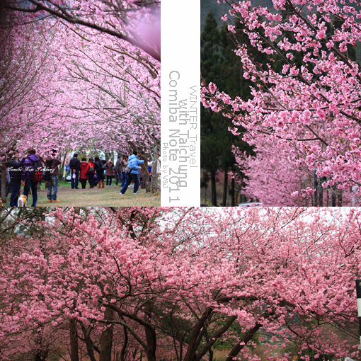 2011021703.jpg 2011021703.jpg